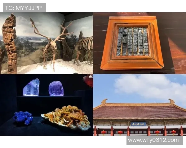 历史的兴衰与文化传承：探寻中华文明五千年的变革与发展