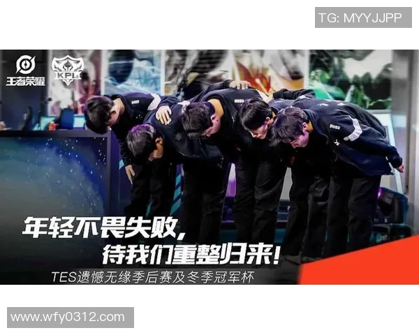 TES在冠军杯中的比赛经验分析与表现评估 TES在冠军杯中的比赛经验分析与表现评估