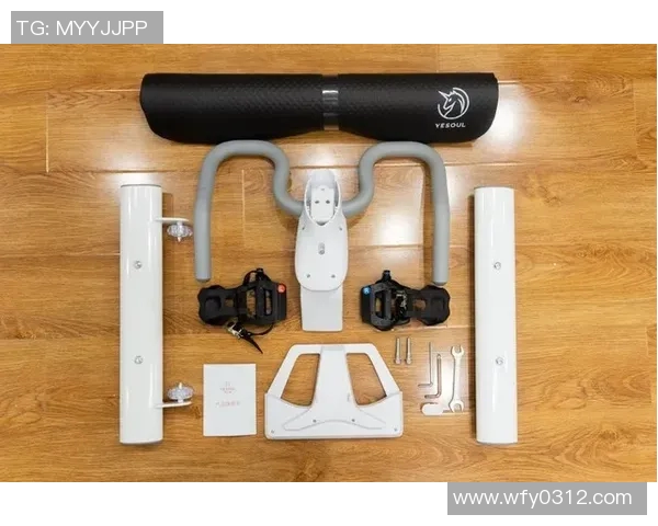 上海极限运动队区域防守战术深度分析与实战应用探讨