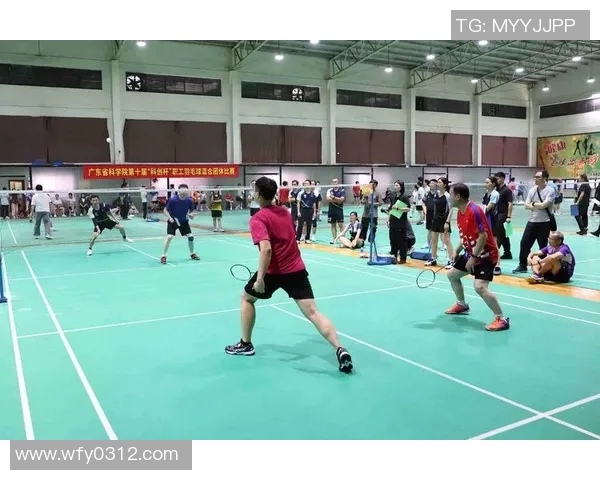 成都羽毛球队战术创新引领潮流助力羽毛球竞技水平提升