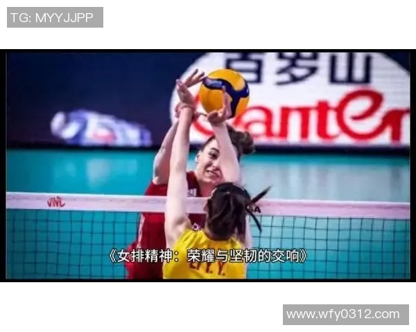 广州排球队的奋斗与荣耀：一段排球精神的真实纪实之旅