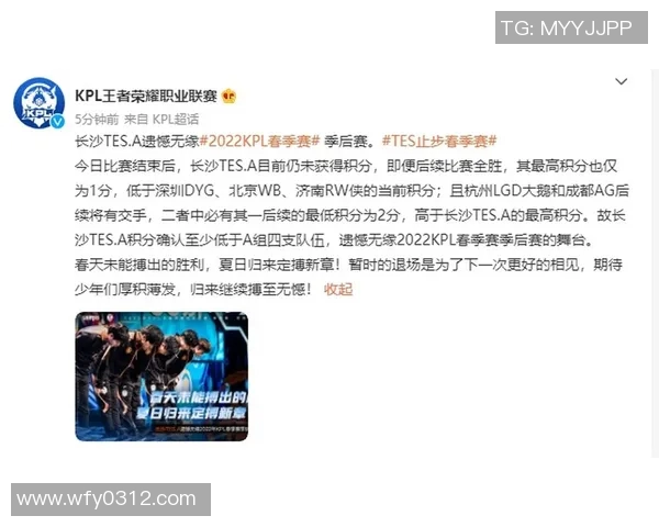 TES边路渗透策略分析及其在王者荣耀中的得失评估